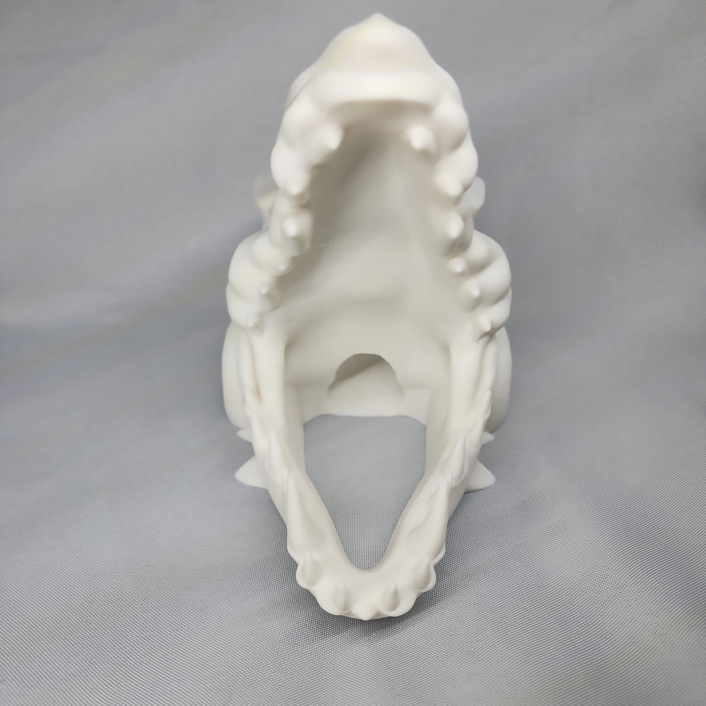 Dragon Skull Dice Tower and decoration