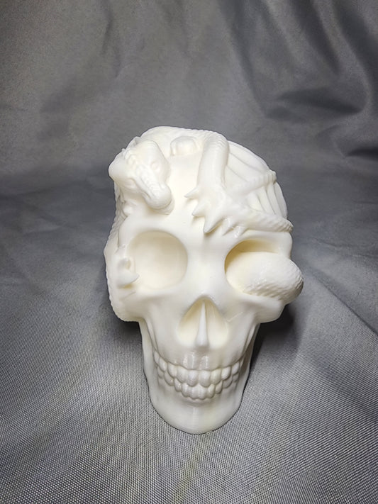 Skull with a dragon wrapped around it decoration must-have for any gothic decor or fantasy enthusiast