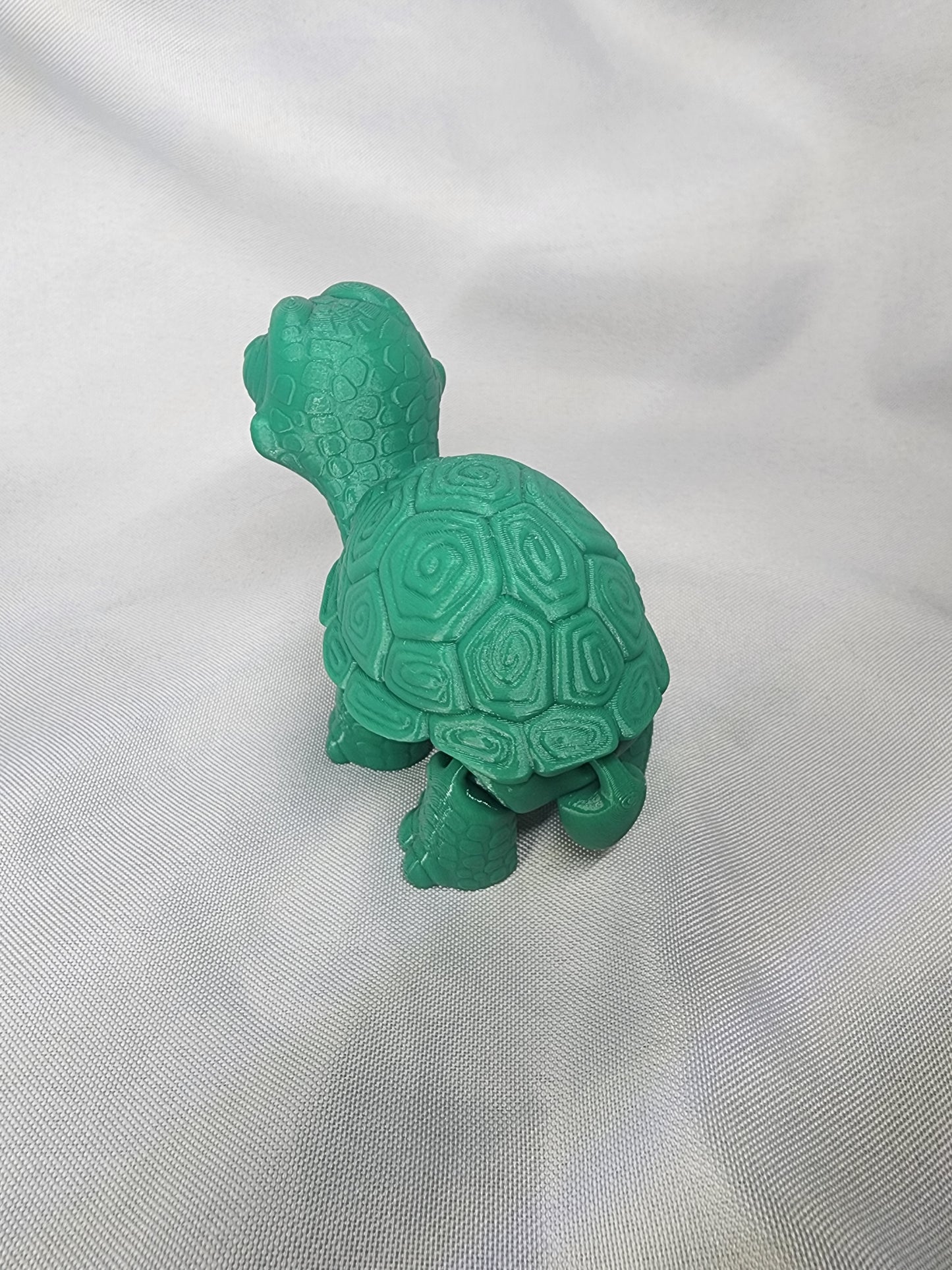 Turtle