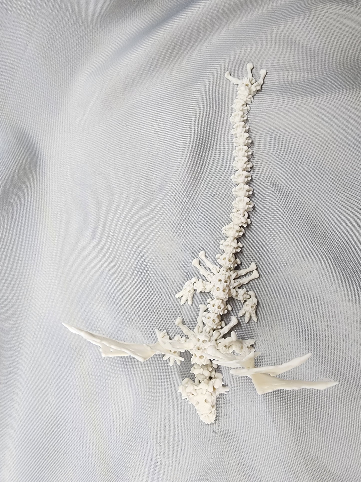 Hollow Bone Winged Dragon articulating figurine