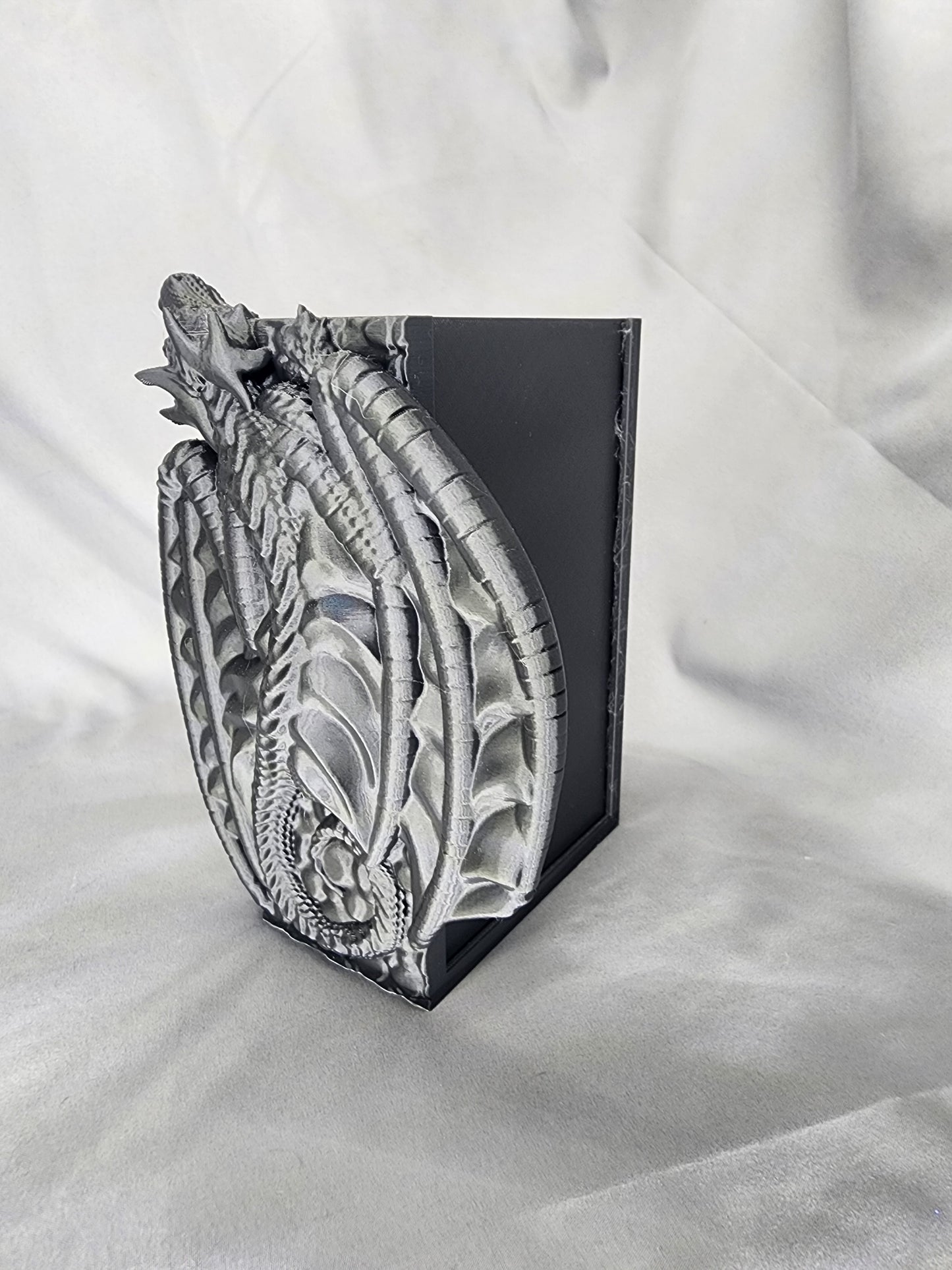 Dragon Hidden Book Nook