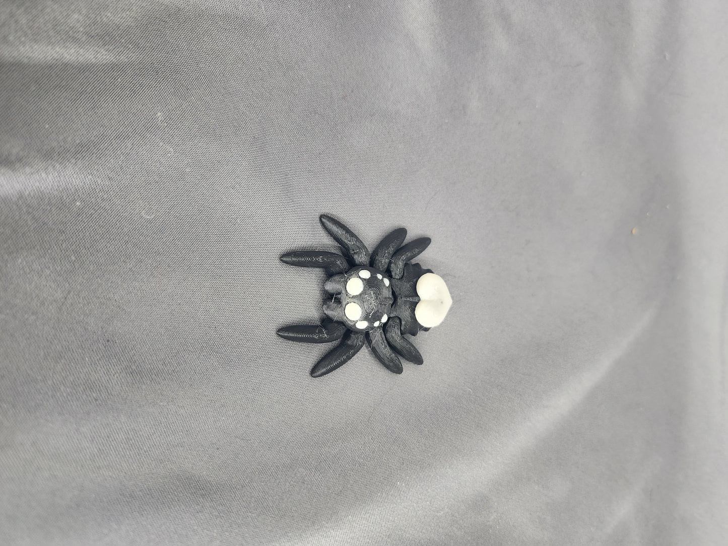 Little Heart Spider
