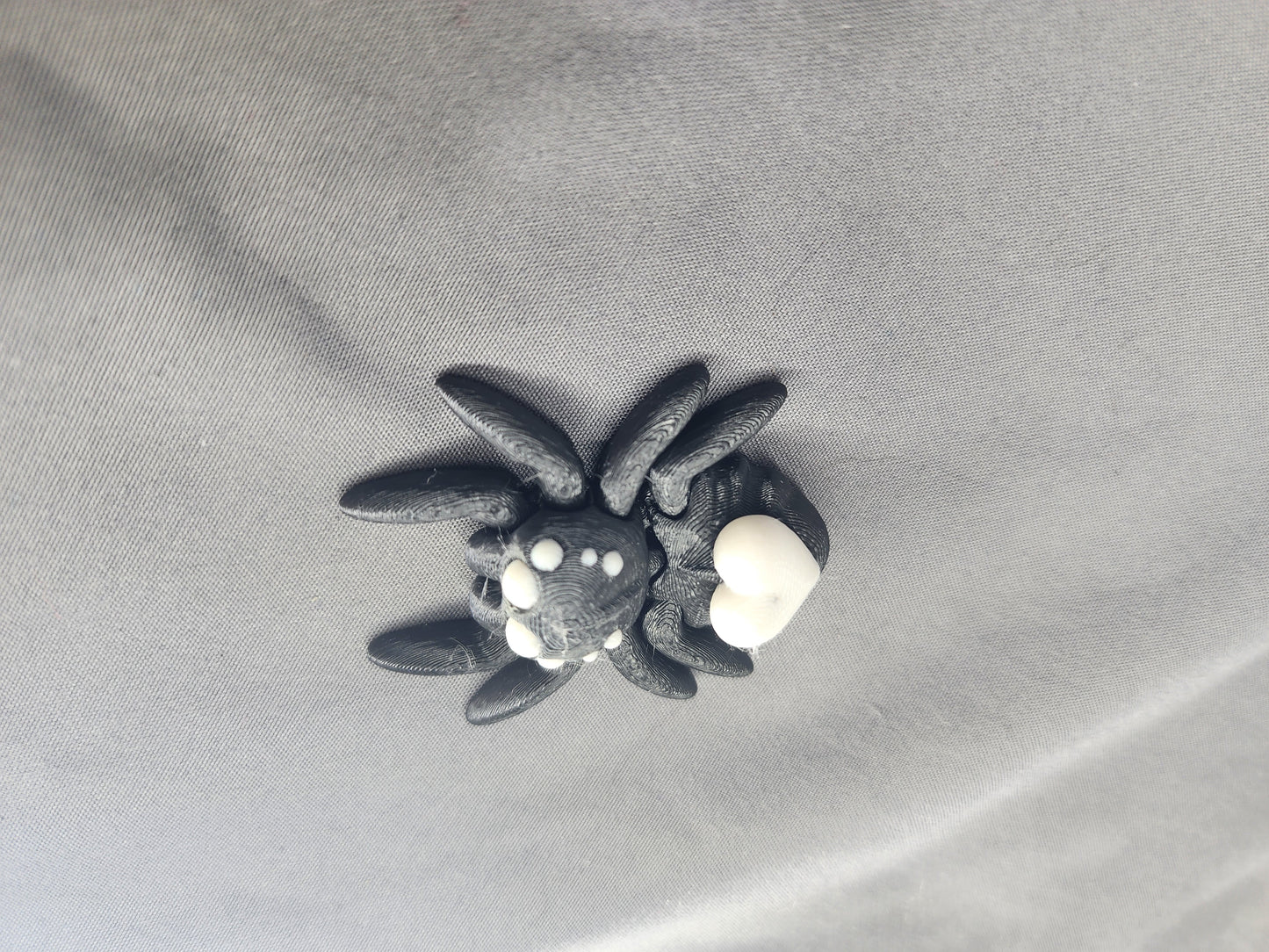 Little Heart Spider