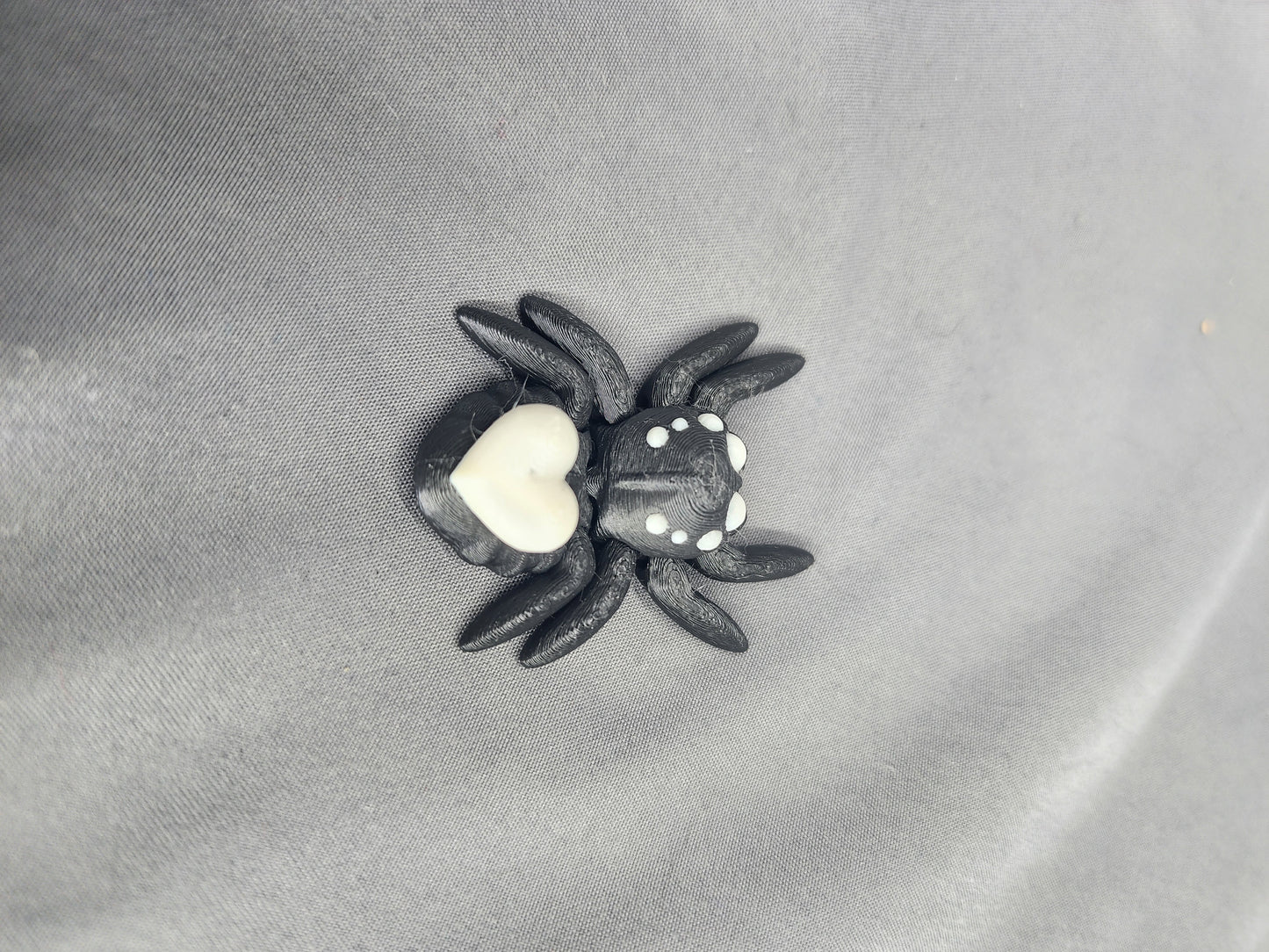 Little Heart Spider
