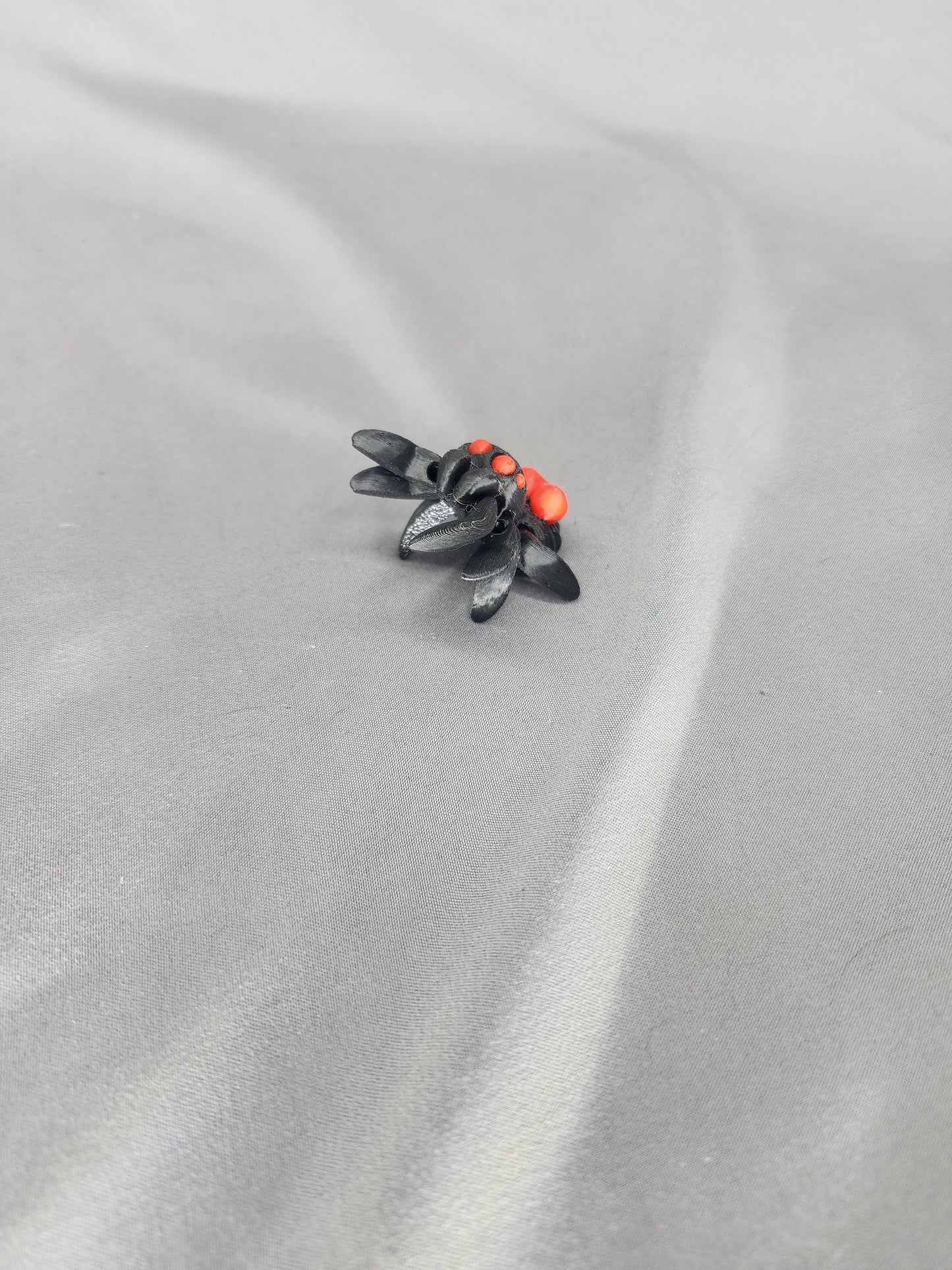 Little Heart Spider