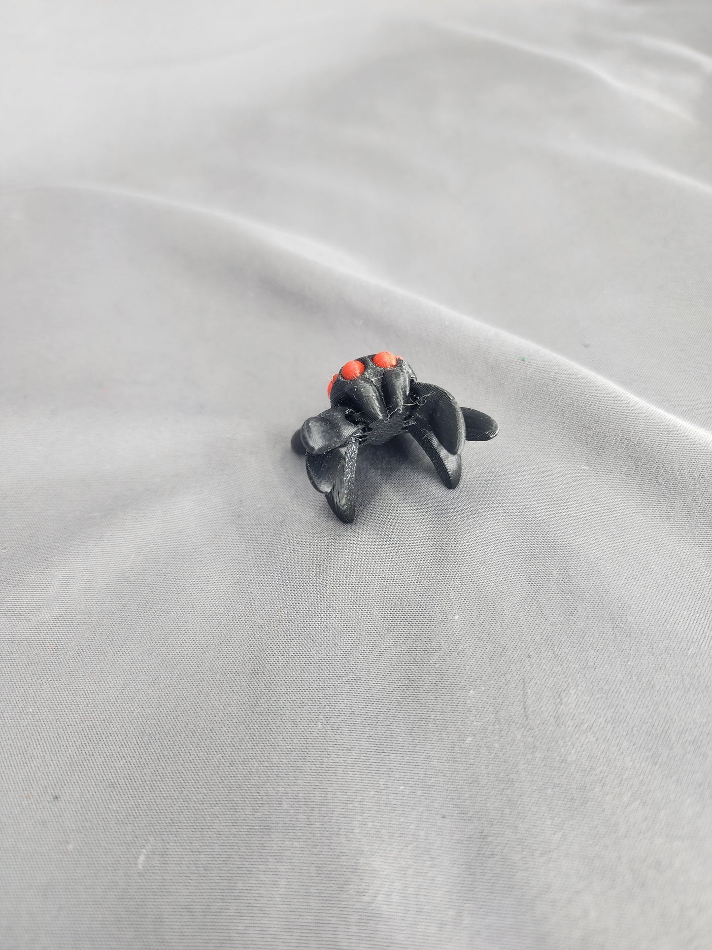 Little Heart Spider