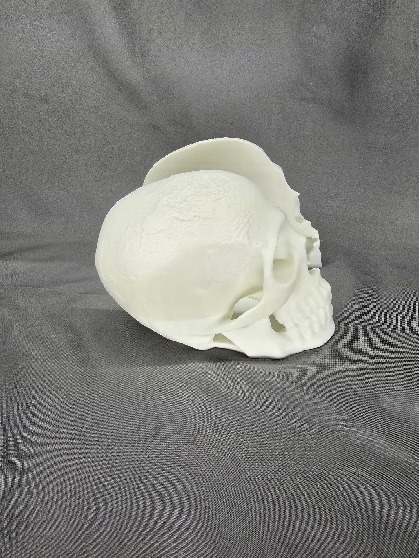 Skull Bookends: Gothic Decor