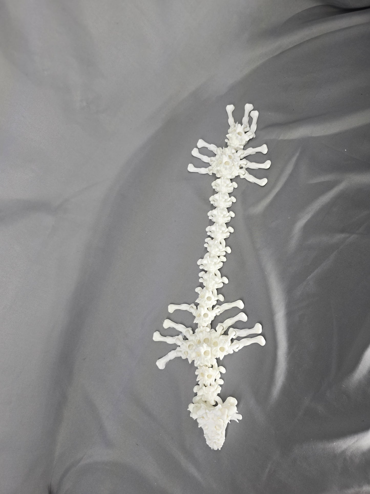 Hollow Bone Dragon articulating figurine