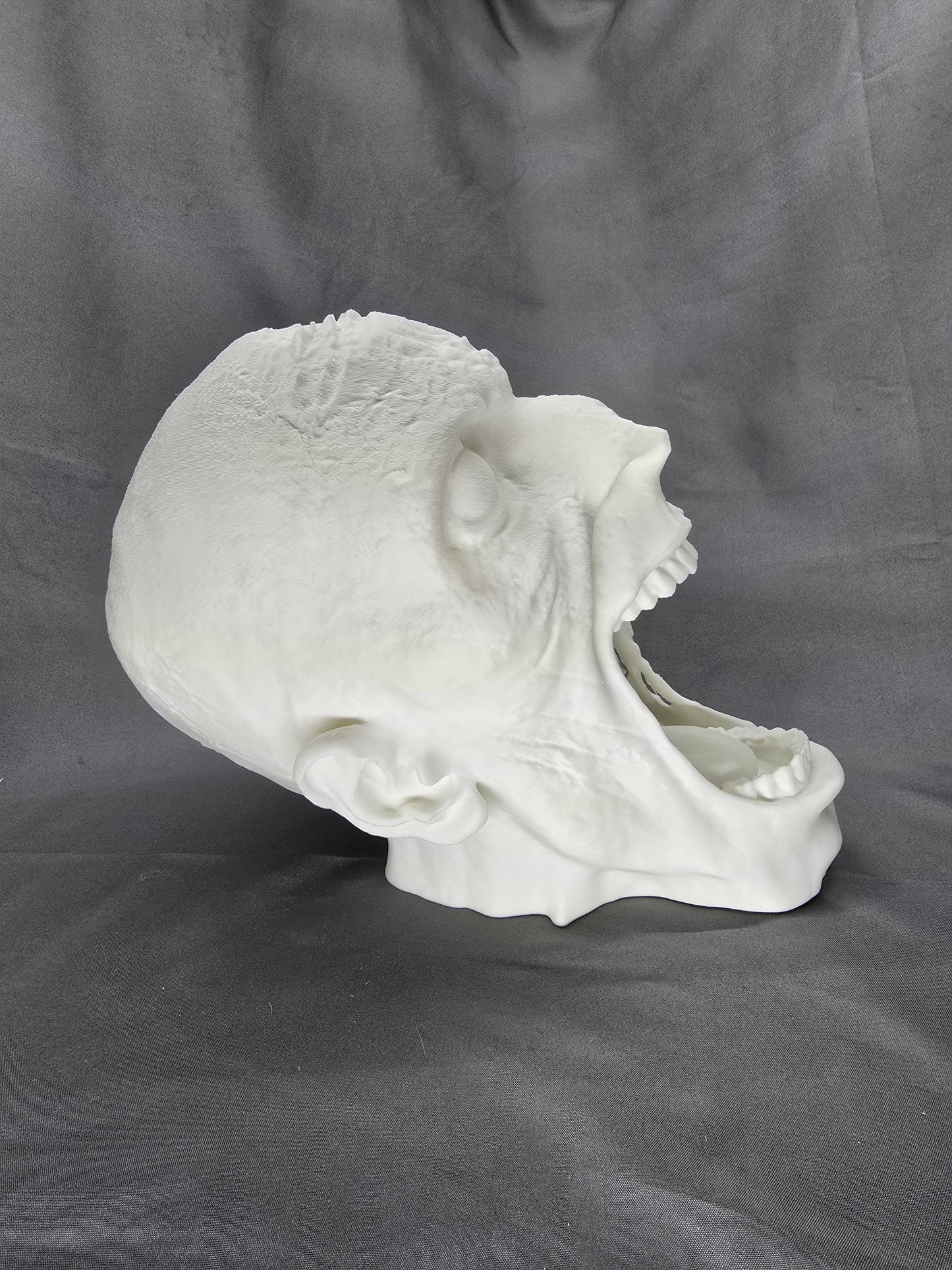 Zombie Skull controller and headphone holder