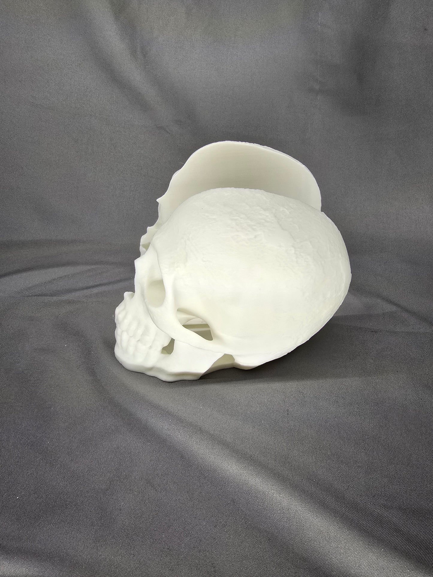 Skull Bookends: Gothic Decor