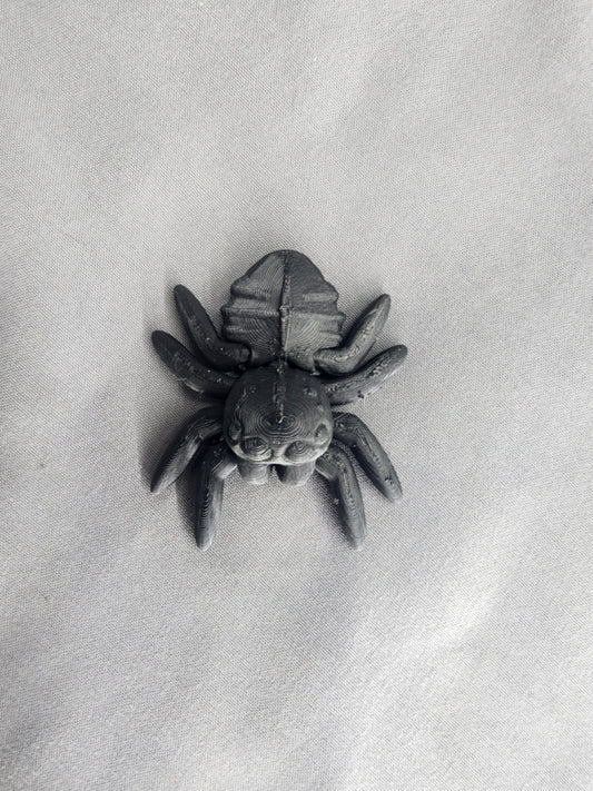 Little Spider