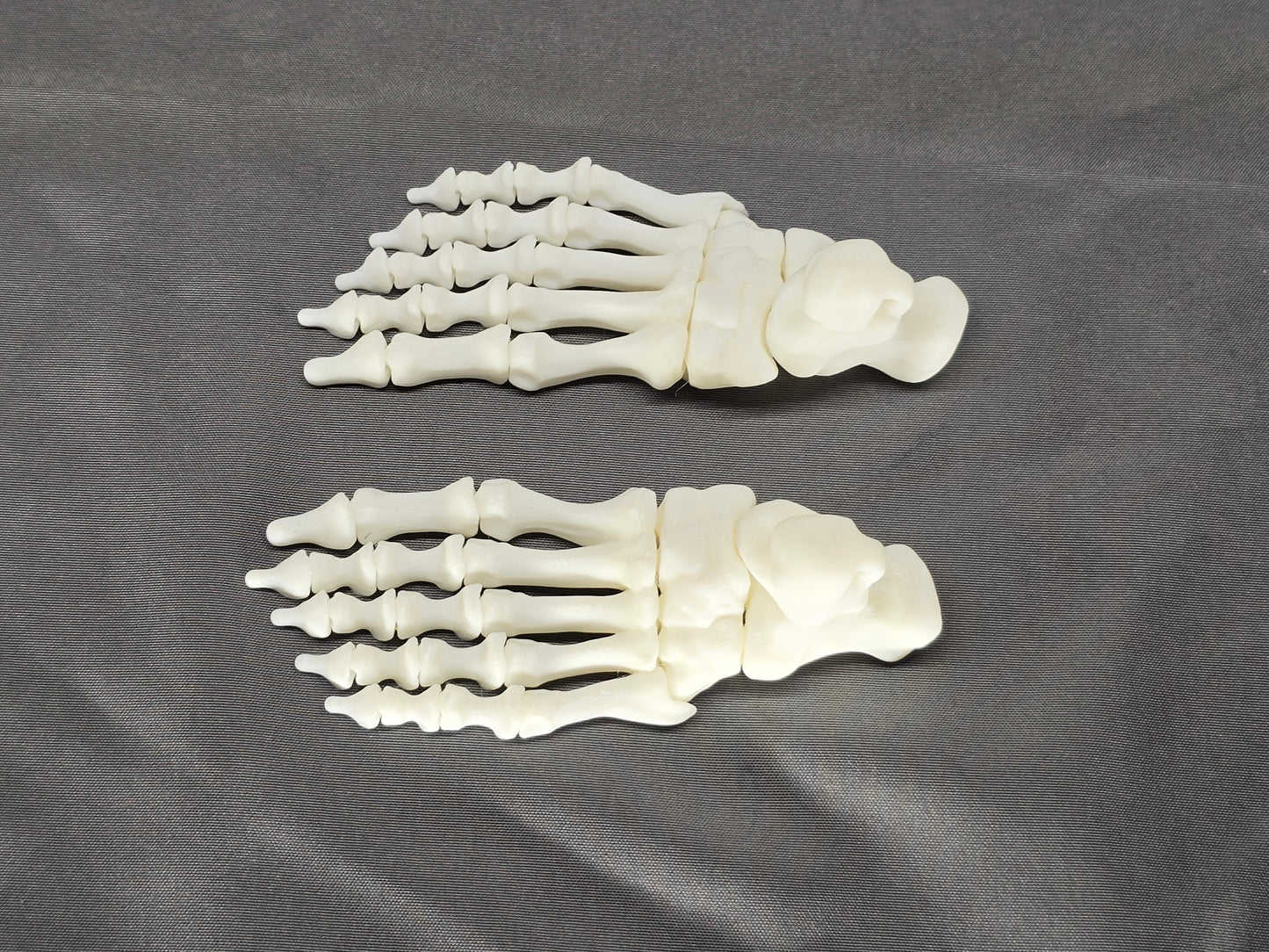 Skeleton keychains - articulating hands, feet and and skulls, we have them all!