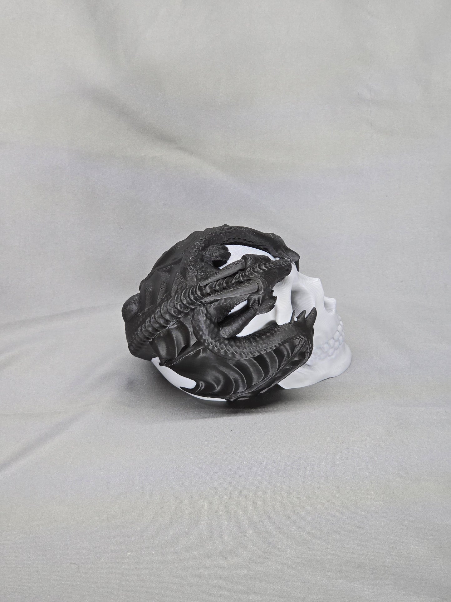 Skull with a dragon wrapped around it decoration must-have for any gothic decor or fantasy enthusiast