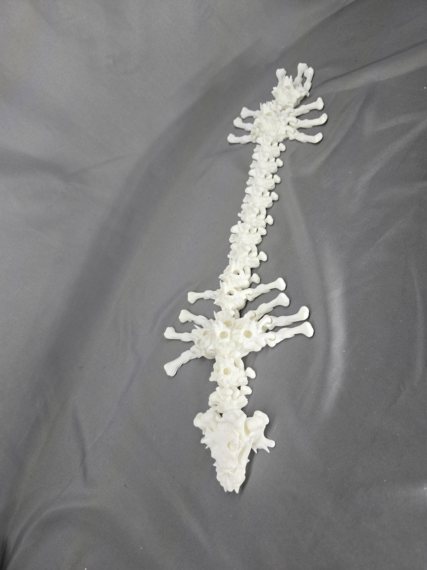 Hollow Bone Dragon articulating figurine